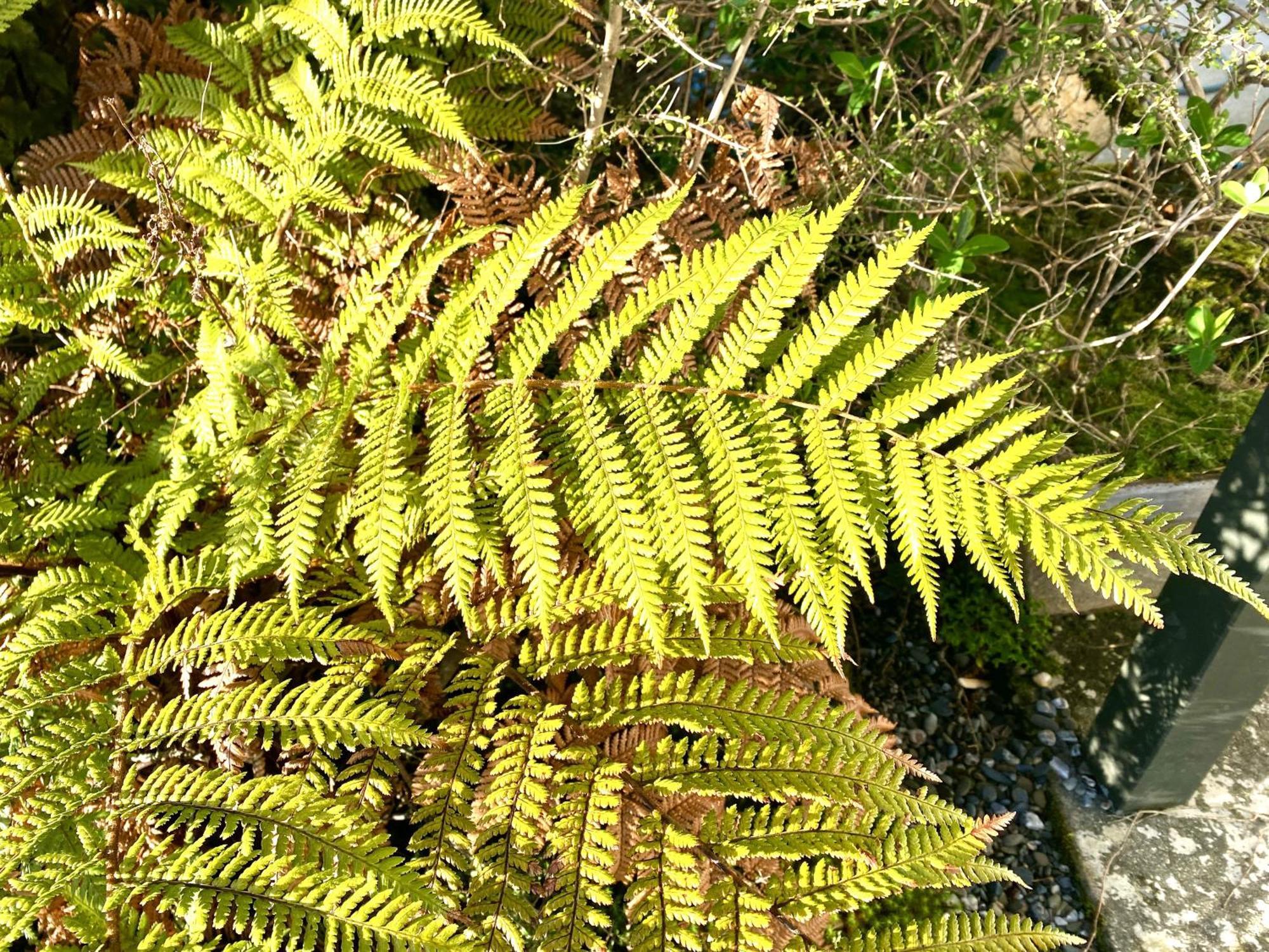 Heritage Park Lodge Haast Esterno foto