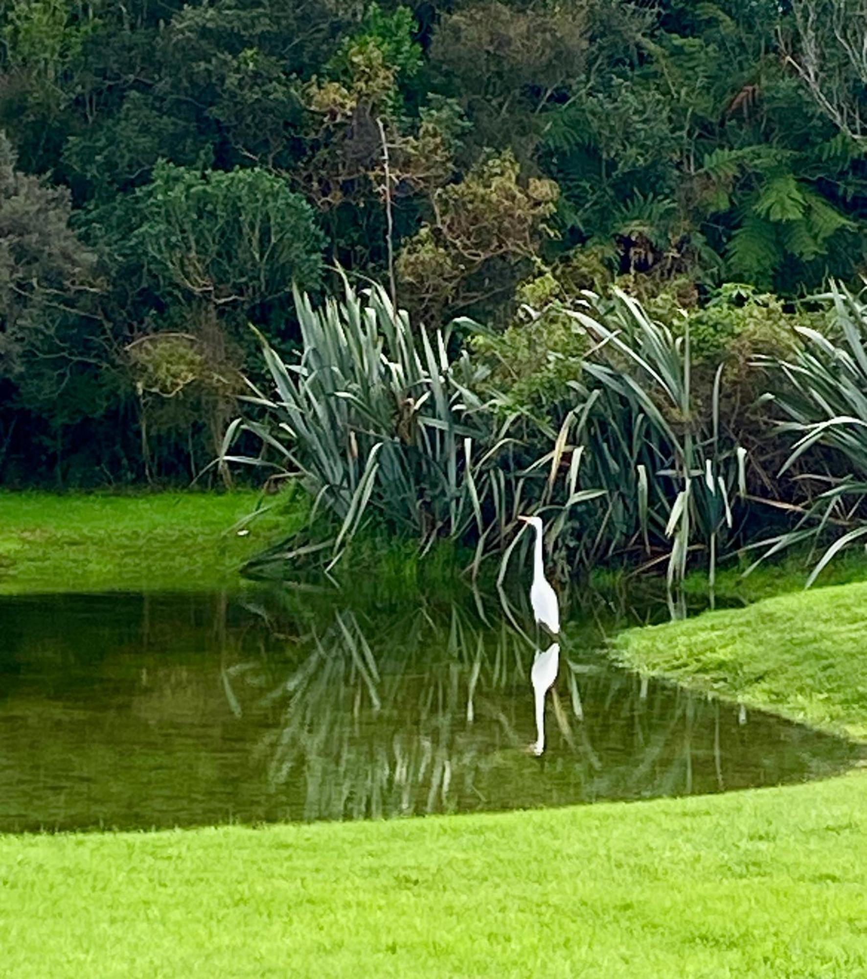 Heritage Park Lodge Haast Esterno foto