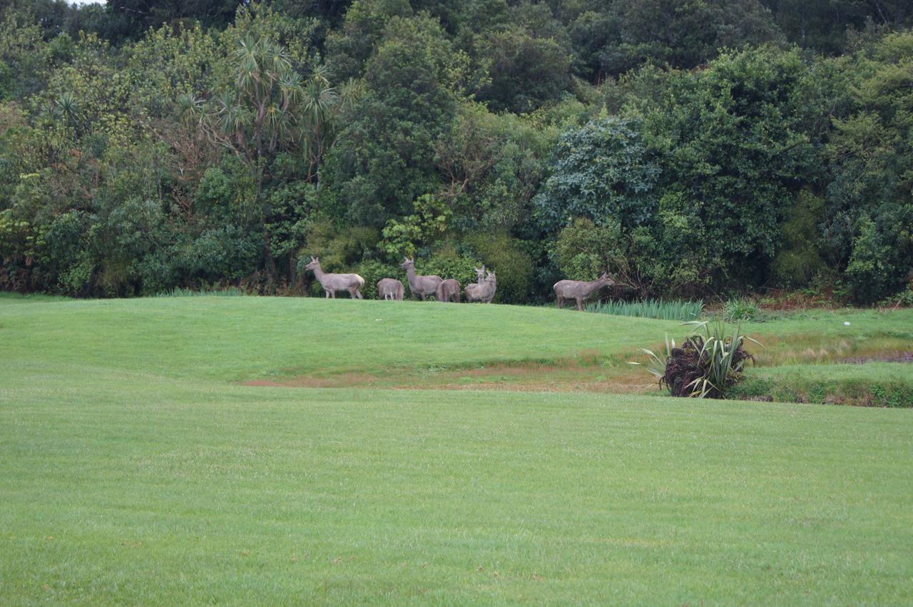 Heritage Park Lodge Haast Esterno foto